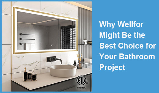 Why Wellfor Might Be the Best Choice for Your Bathroom Project?