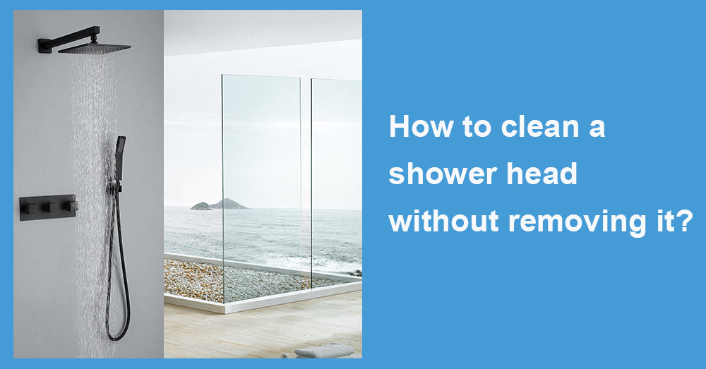How to clean a shower head without removing it?