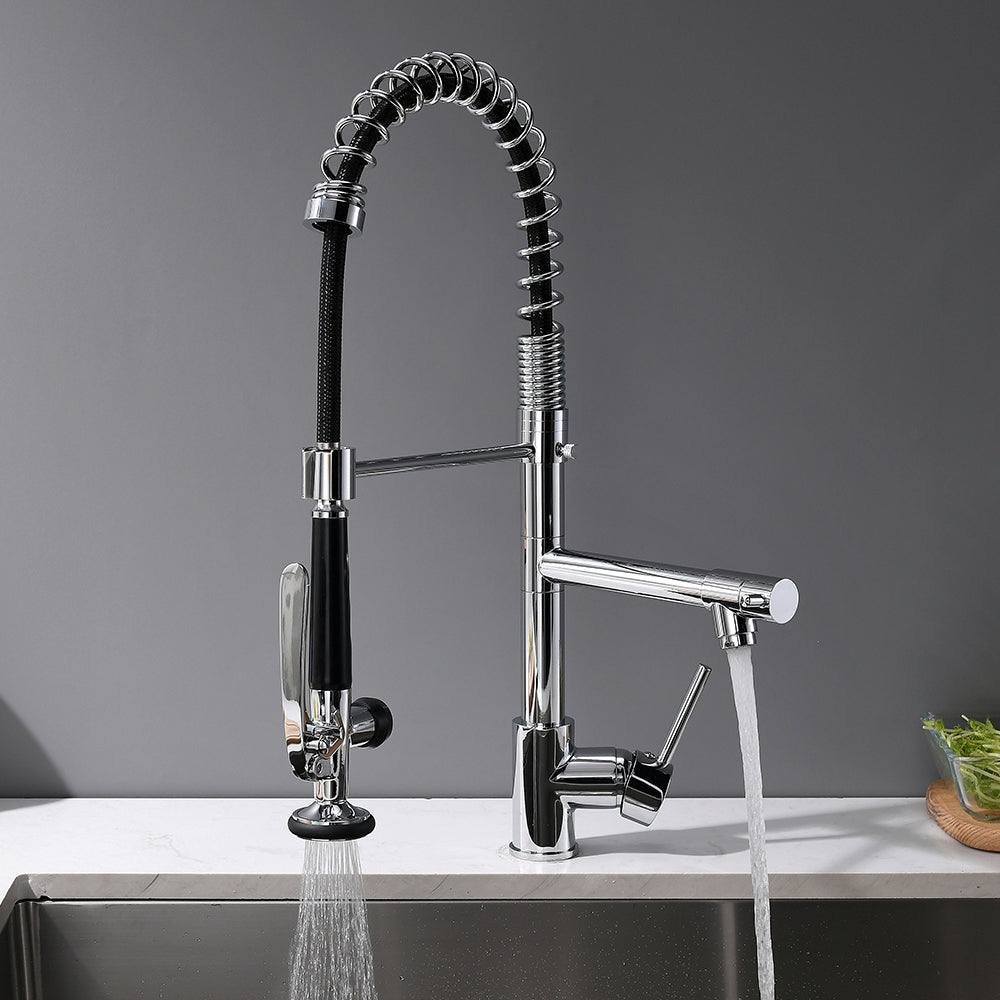 Contemporary Kitchen Faucet