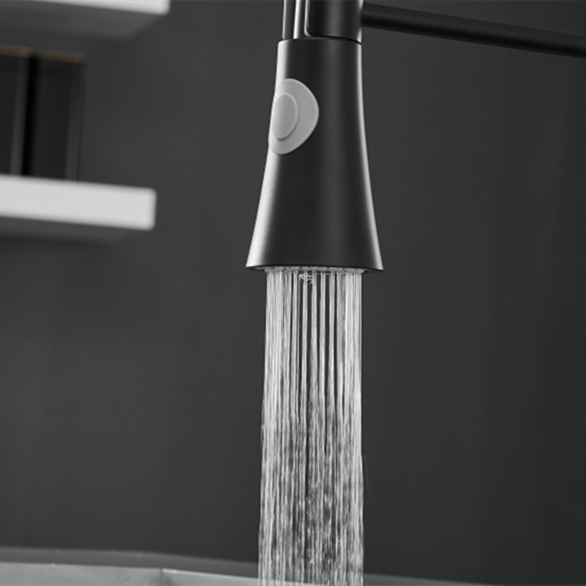 Sprayer Kitchen Faucet