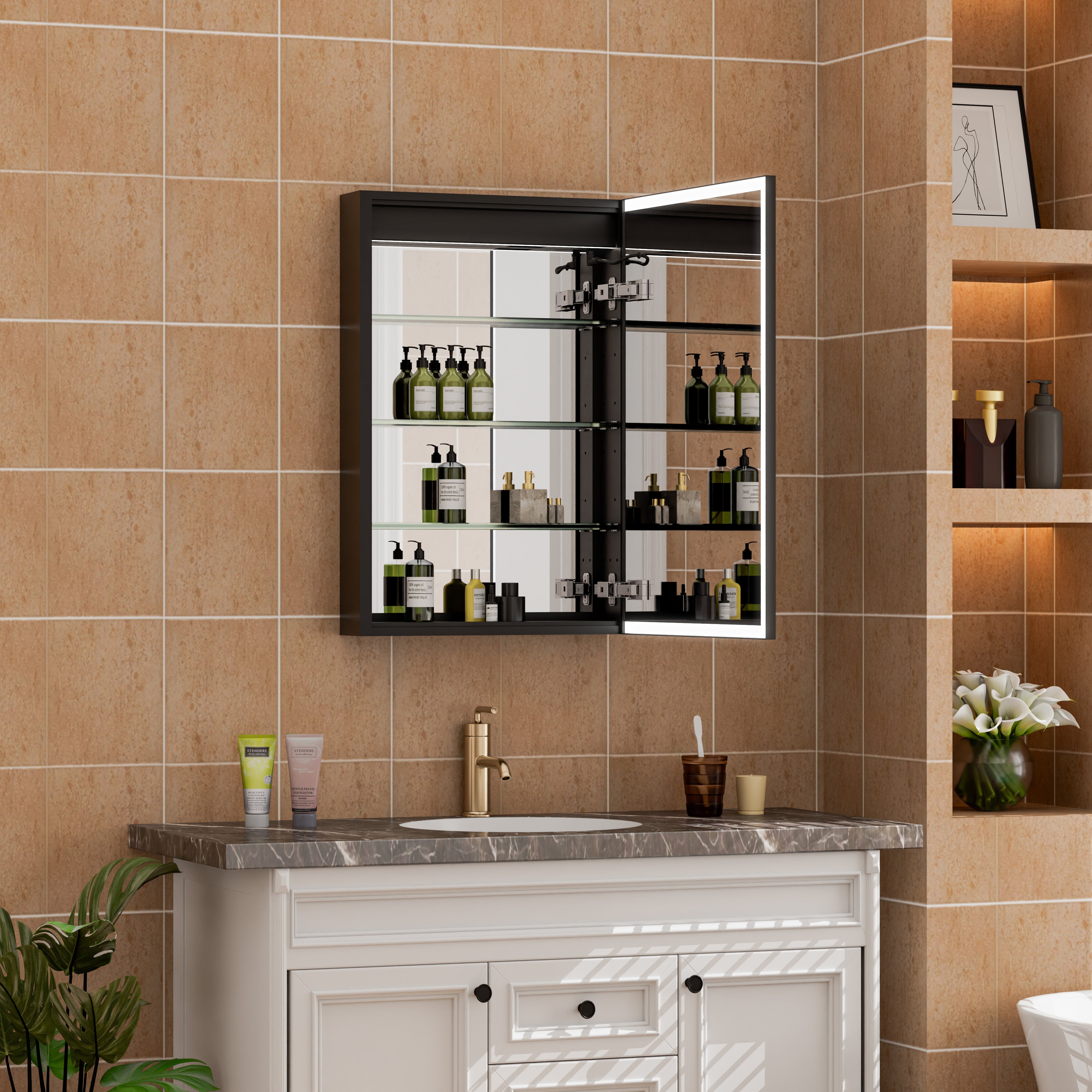 Medicine Cabinets with Mirrors
