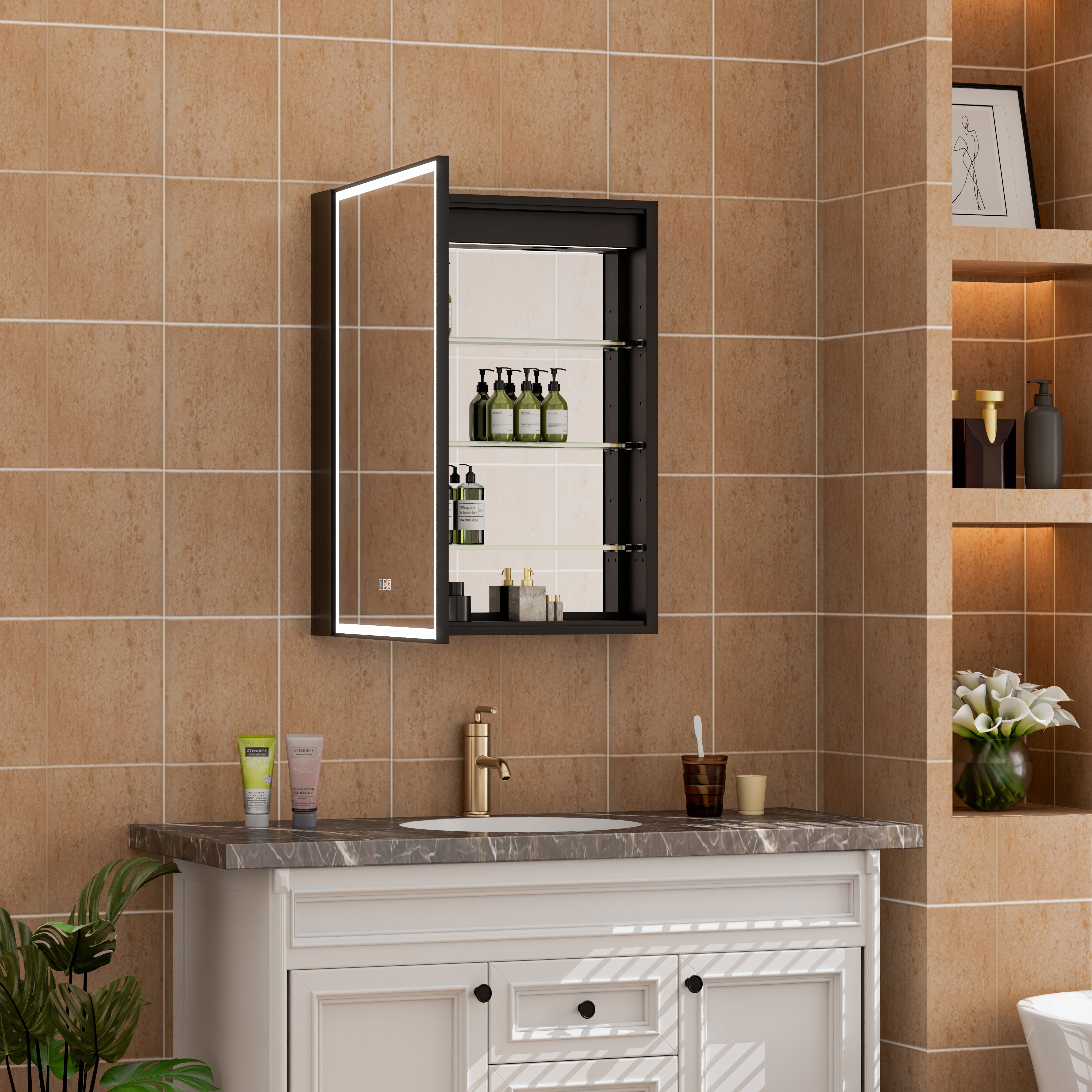 Mirrored Medicine Cabinets