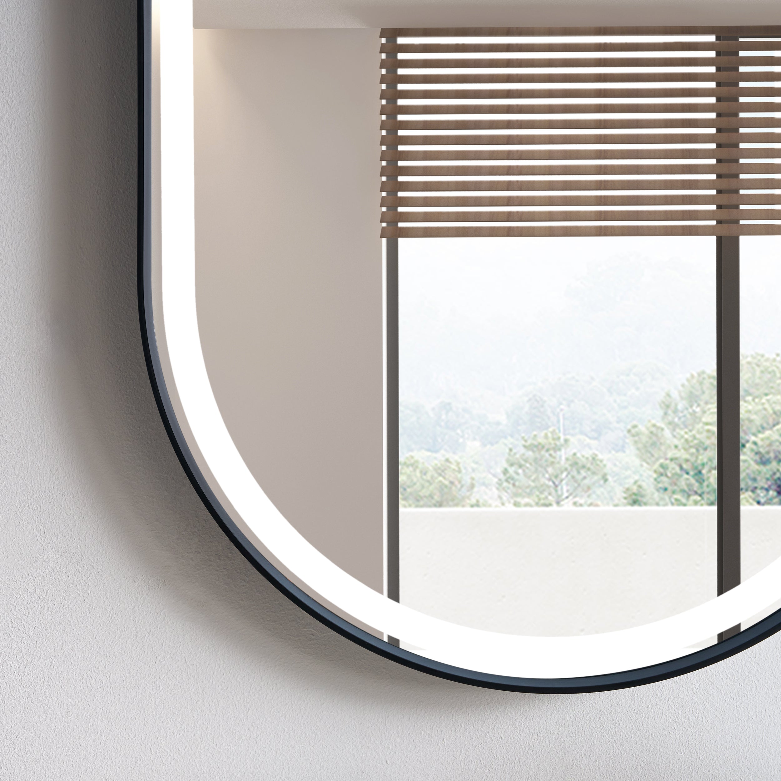 20 in. W x 36 in. H Oval LED Framed Mirror, Anti-Fog, Dimmable in Matte Black