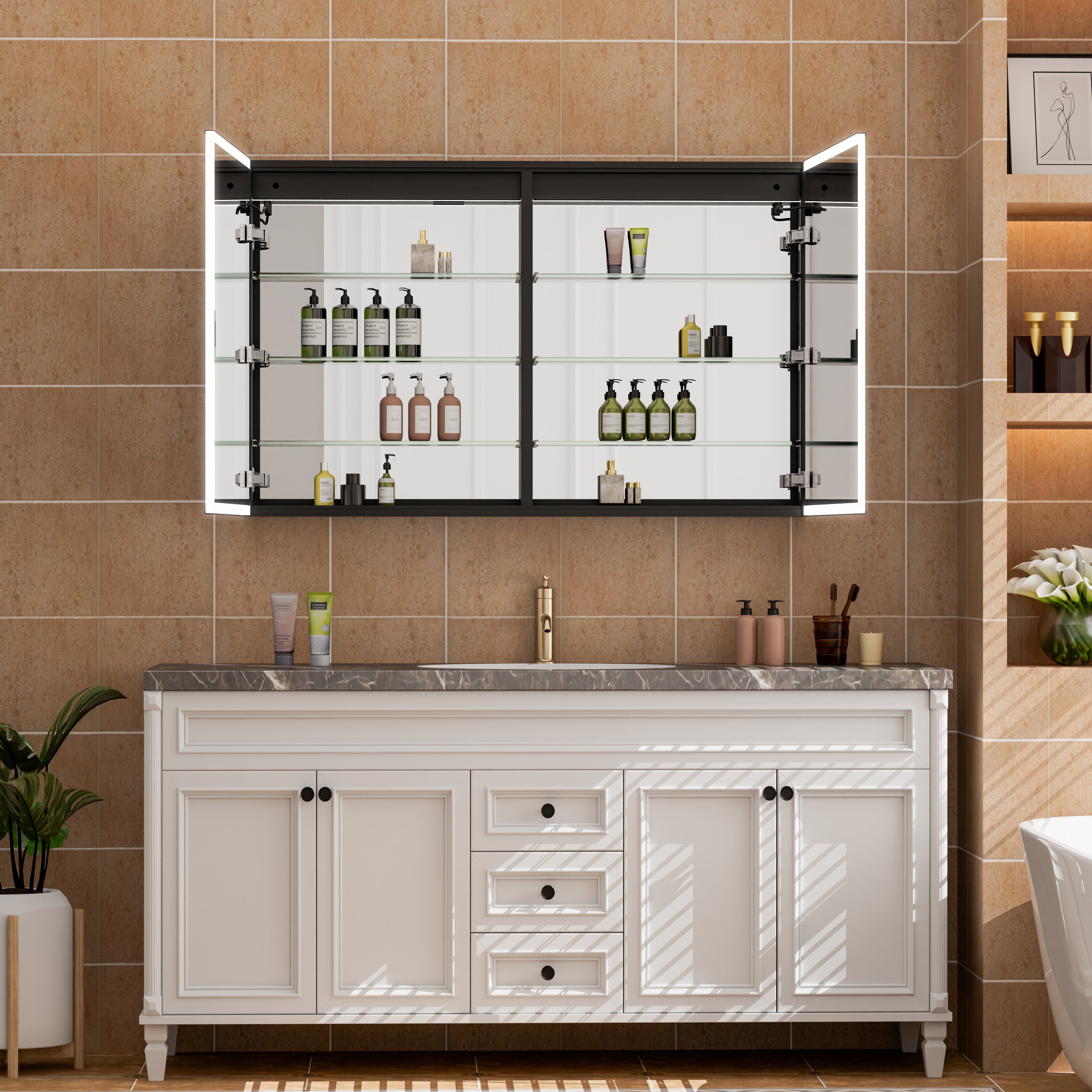 Bathroom Medicine Cabinets with Mirrors
