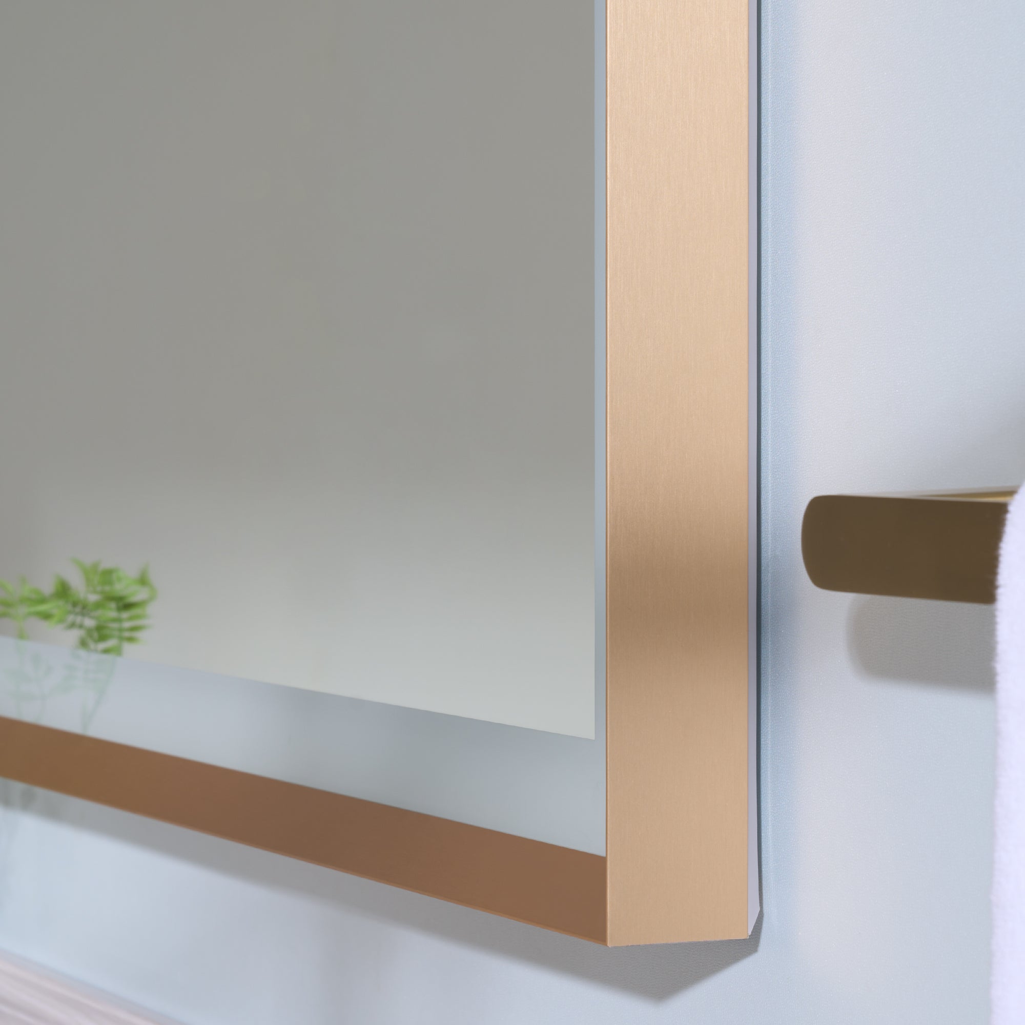 Bathroom Mirror Detail