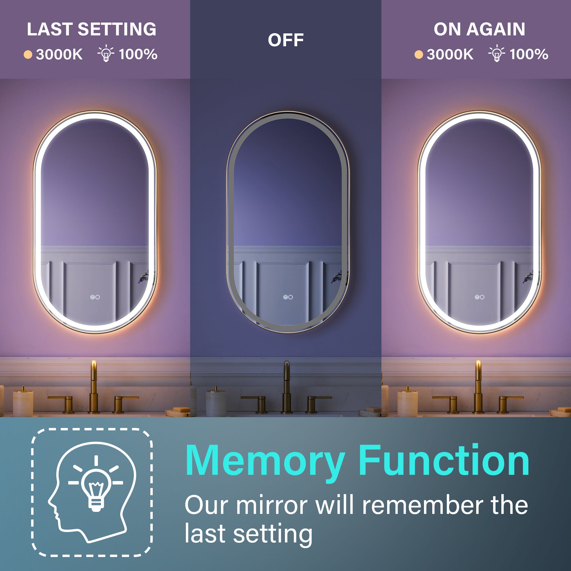 20 in. W x 36 in. H Oval LED Framed Mirror, Anti-Fog, Dimmable in Brushed Gold