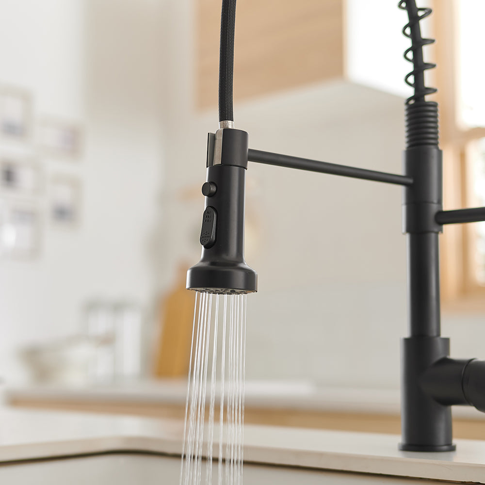 Single Handle Gooseneck Pull Down Sprayer Kitchen Faucet with Purified Water Faucet