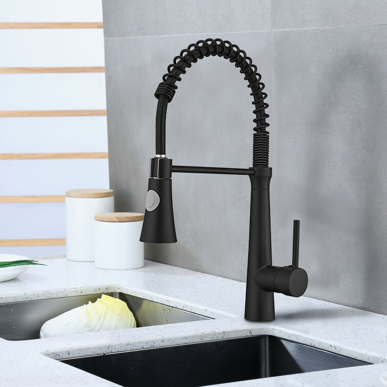 Sprayer Kitchen Faucet