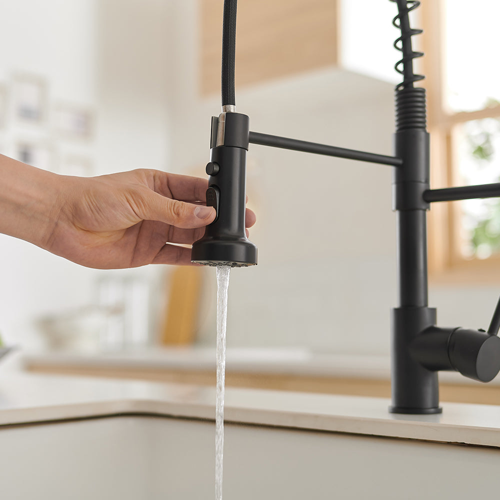 Single Handle Gooseneck Pull Down Sprayer Kitchen Faucet with Purified Water Faucet