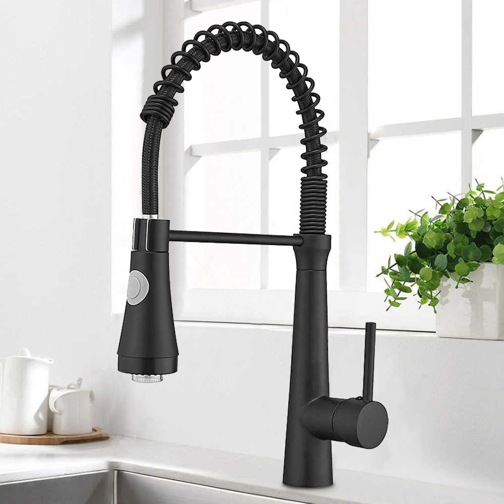 Kitchen Faucet