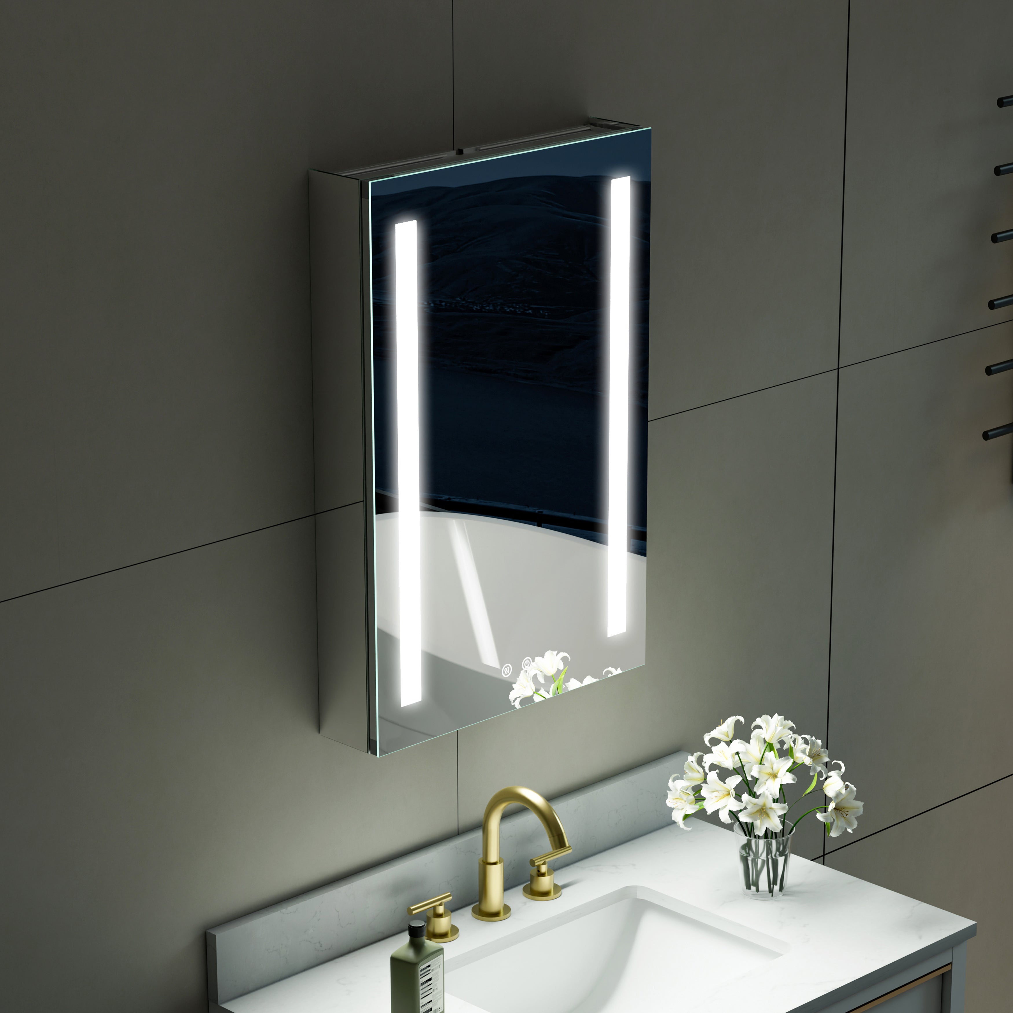 20 in. x 30 in. LED Lighted Surface/Recessed Mount Mirror Medicine Cabinet with Outlet Right Side