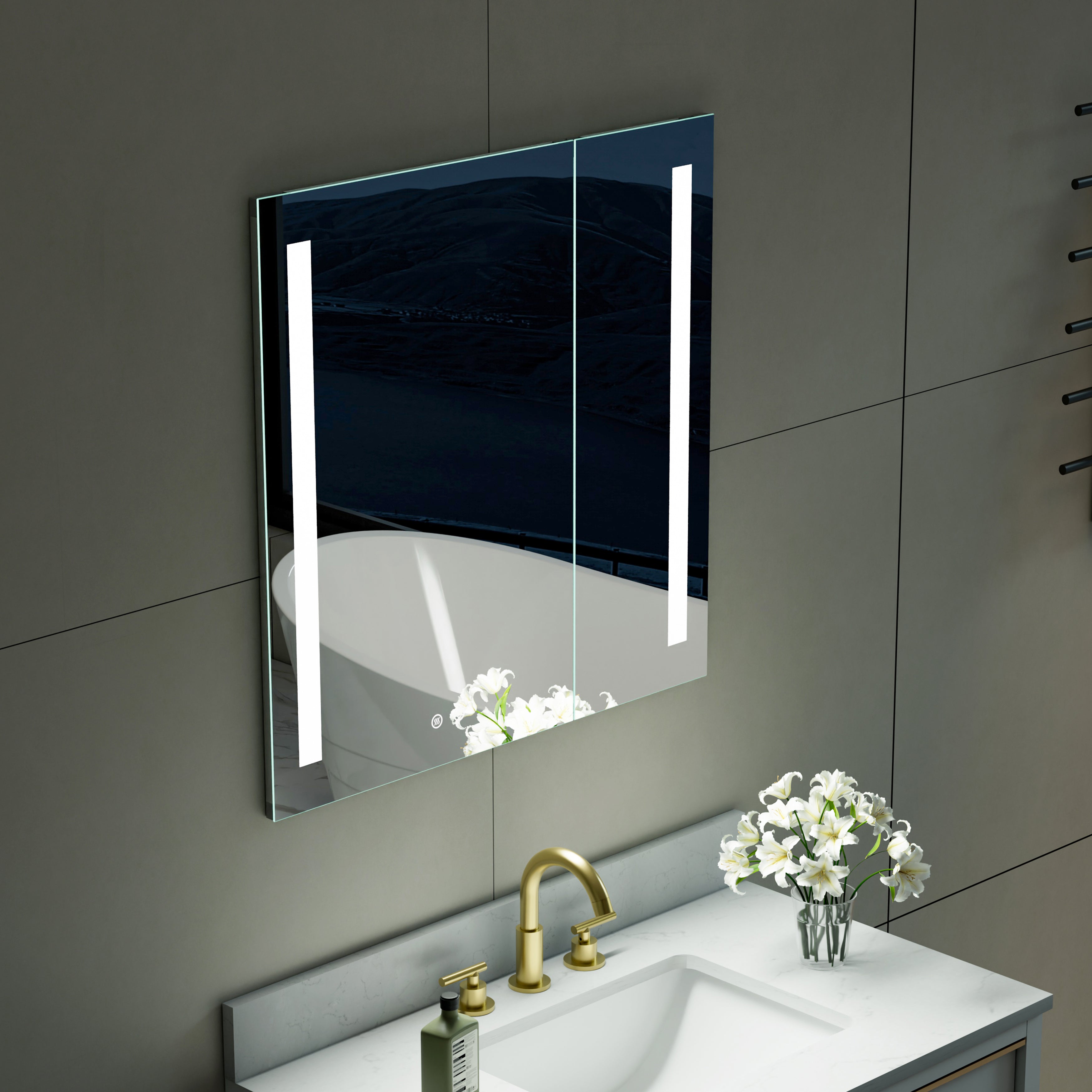 30 in. x 30 in. LED Lighted Surface/Recessed Mount Mirror Medicine Cabinet with Outlet