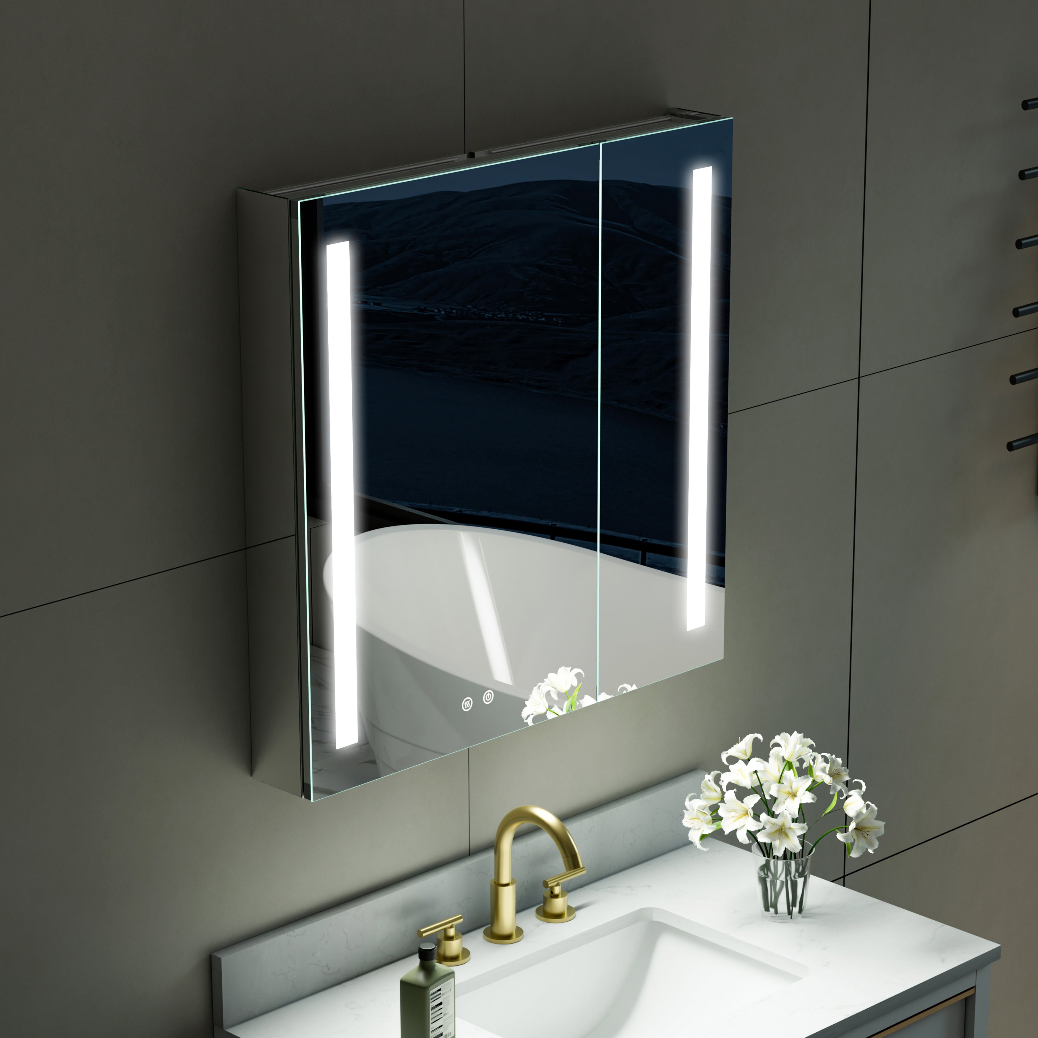 30 in. x 30 in. LED Lighted Surface/Recessed Mount Mirror Medicine Cabinet with Outlet