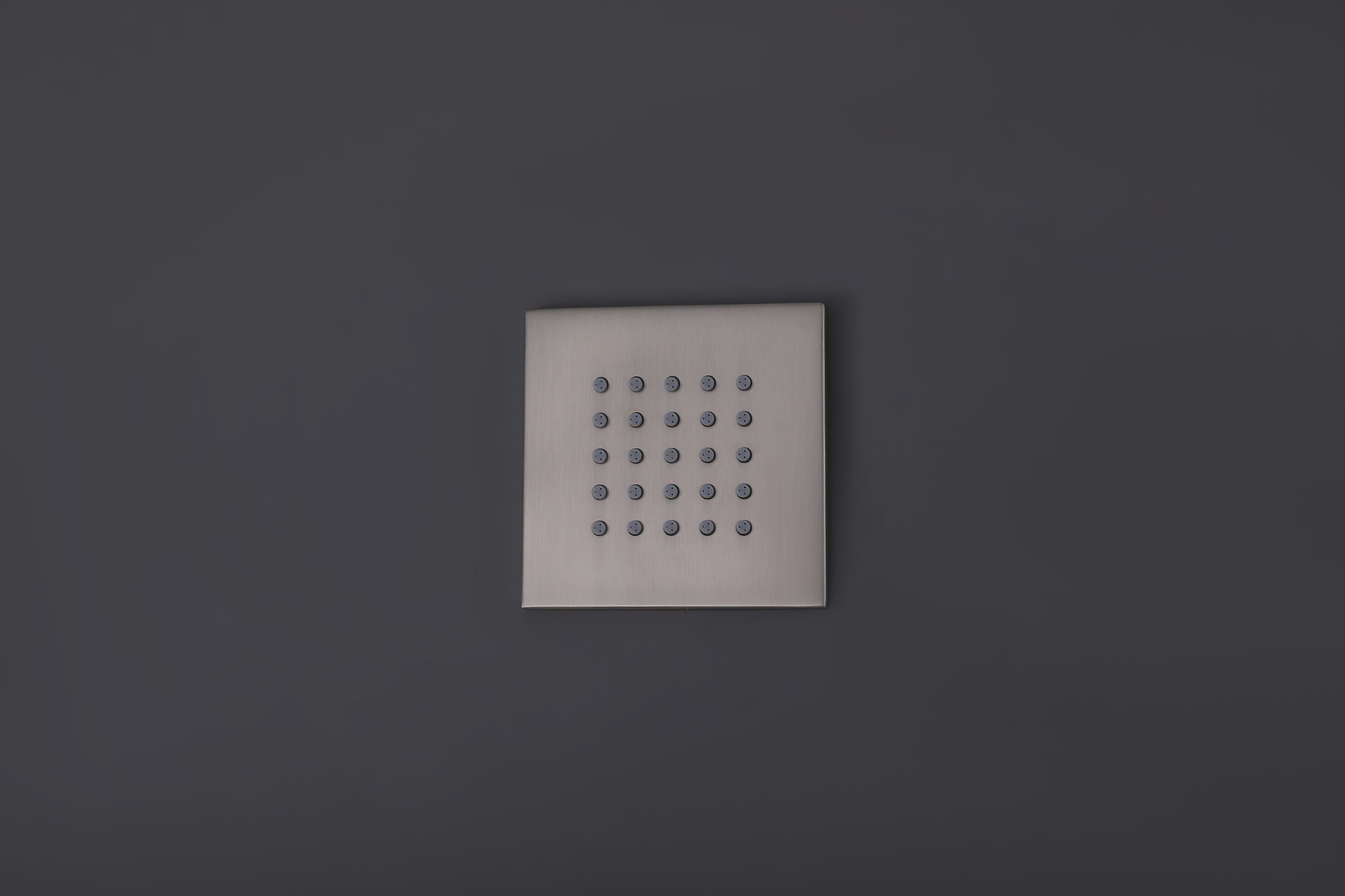 ceiling shower head
