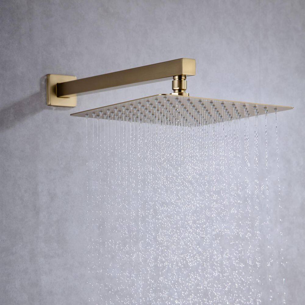 Wall Mounted 10 in. Rain Shower Head Faucet with Valve