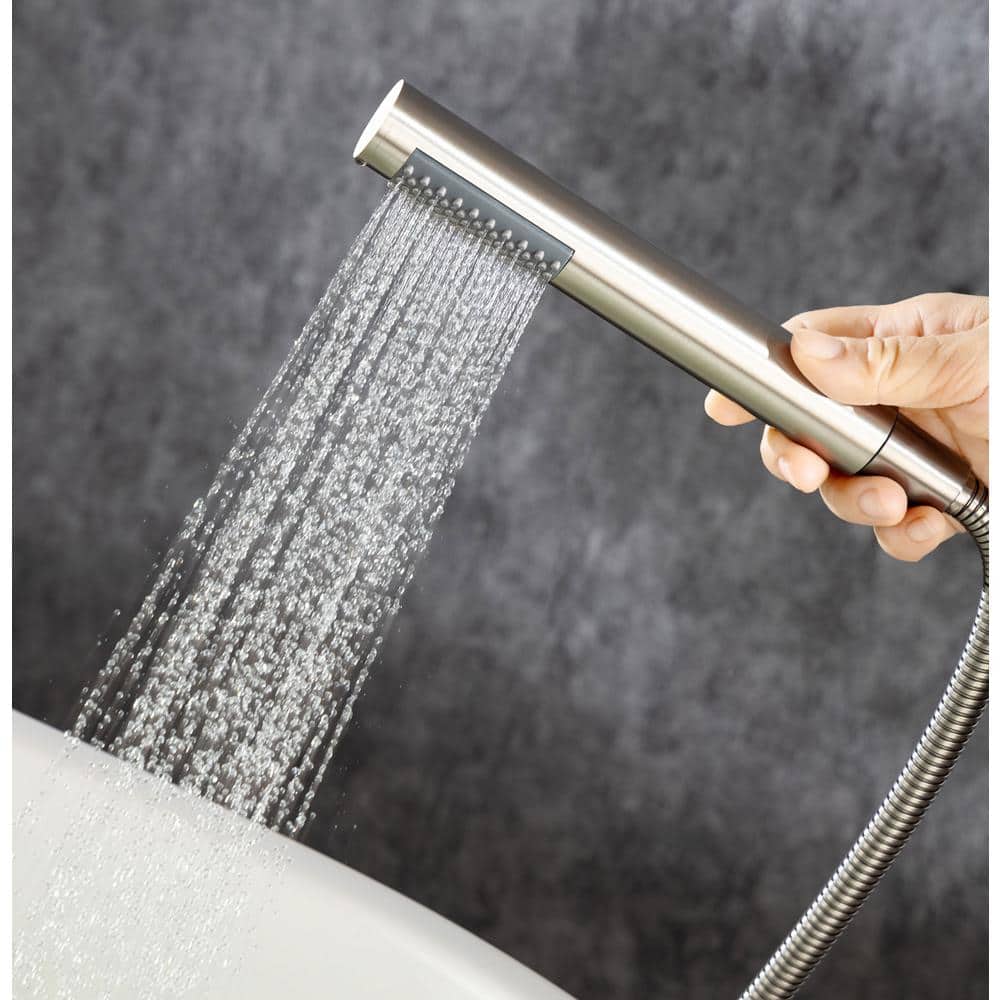 #Color_Brushed Nickel