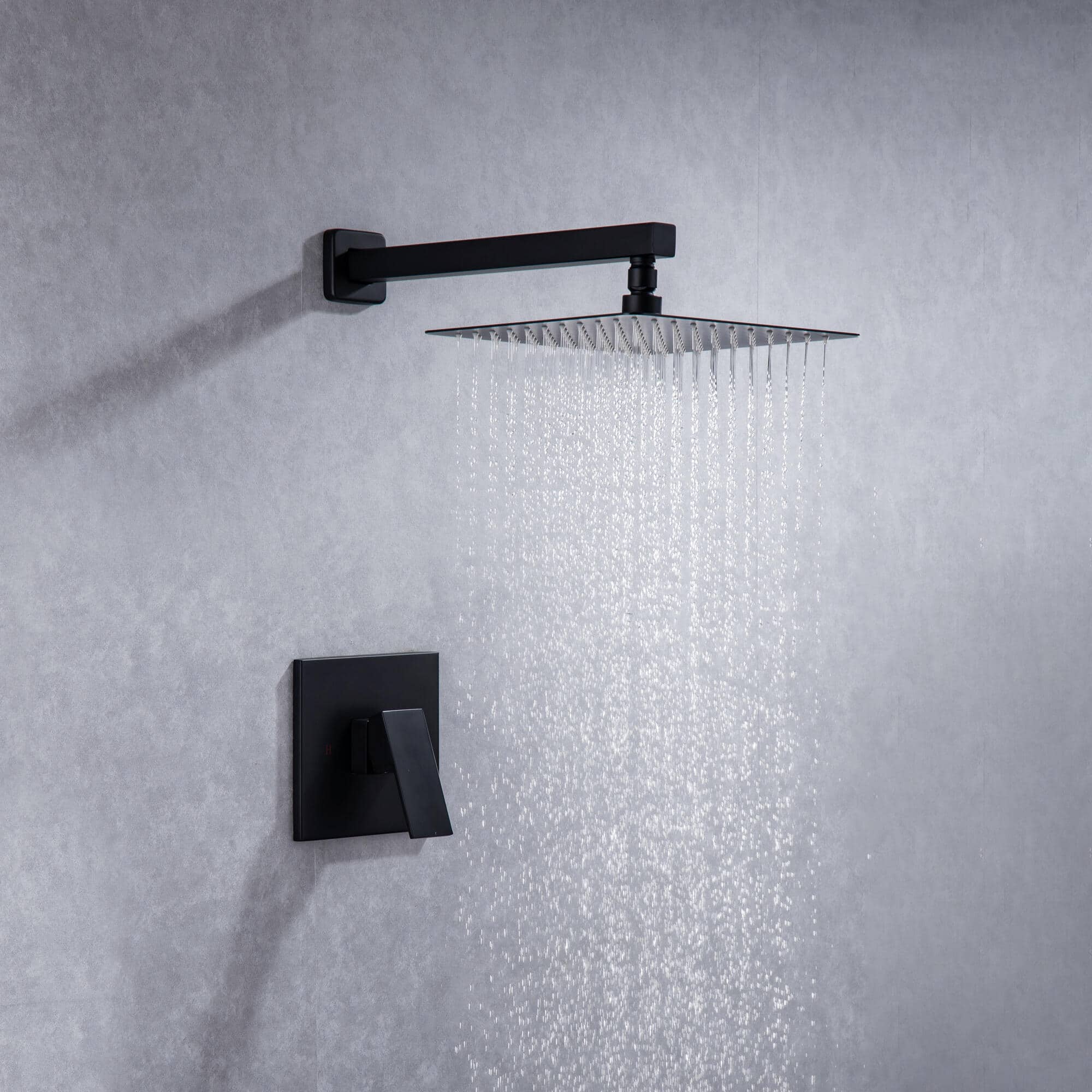 Wall Mounted 10 in. Rain Shower Head Faucet with Valve