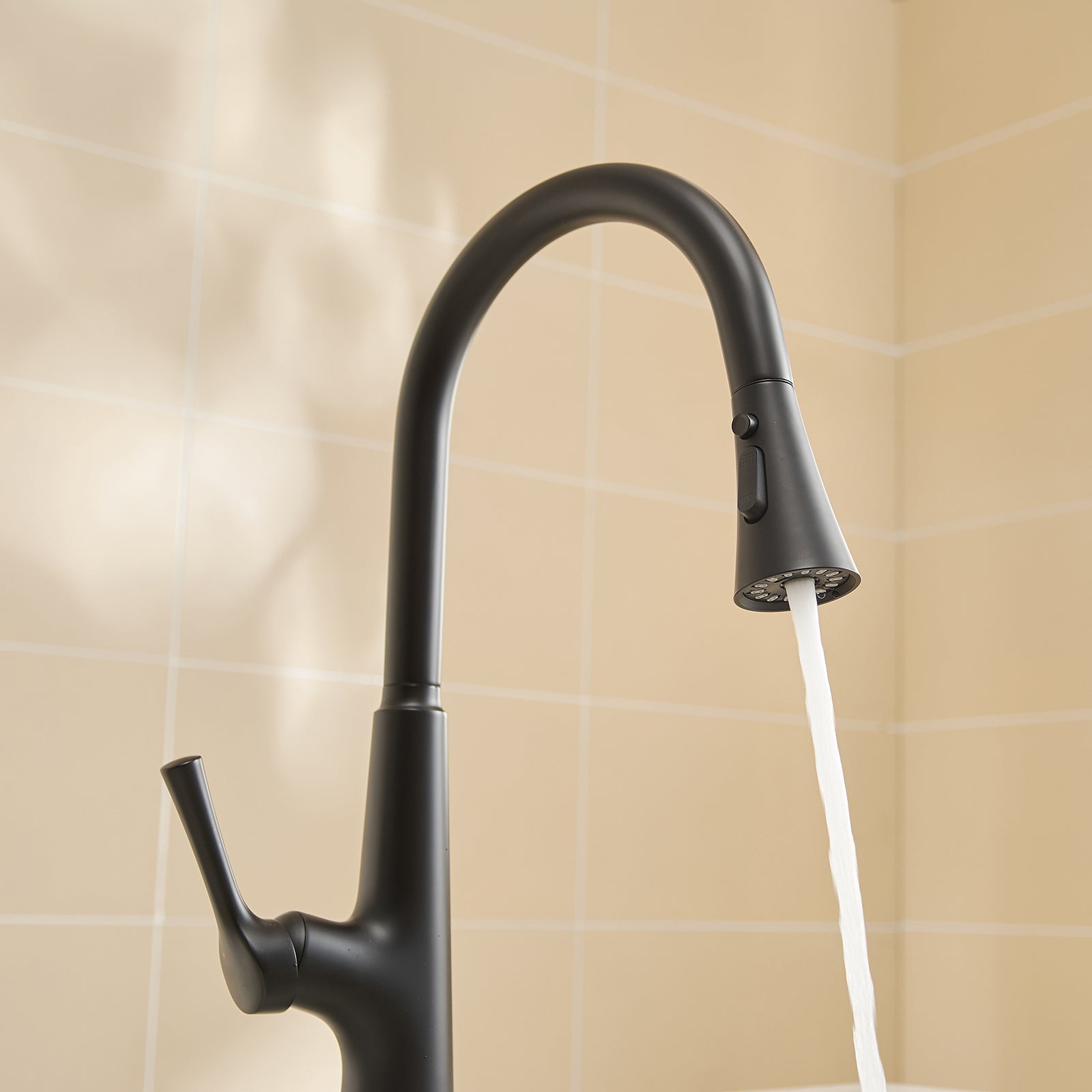 Kitchen Faucet