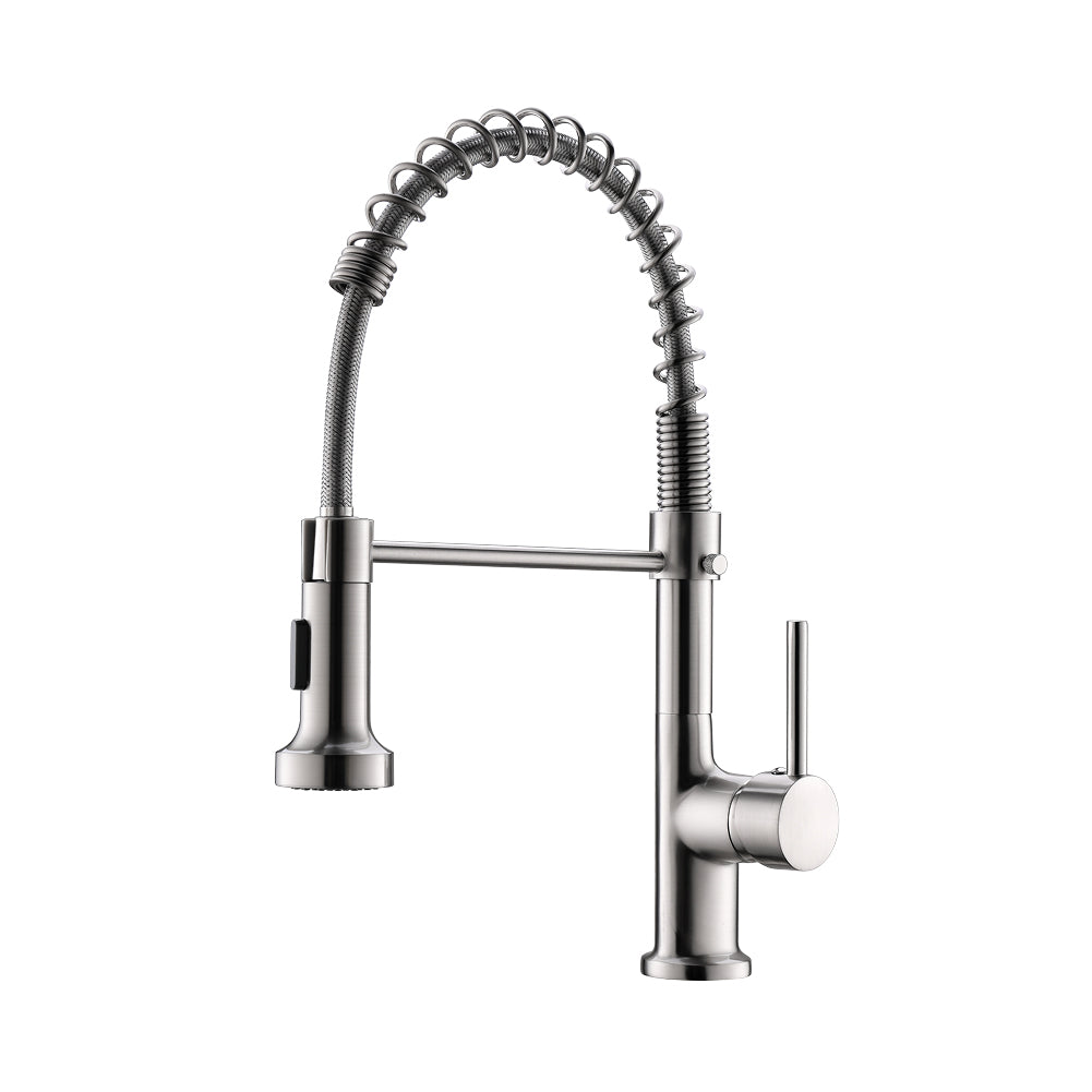 Sprayer Kitchen Faucet