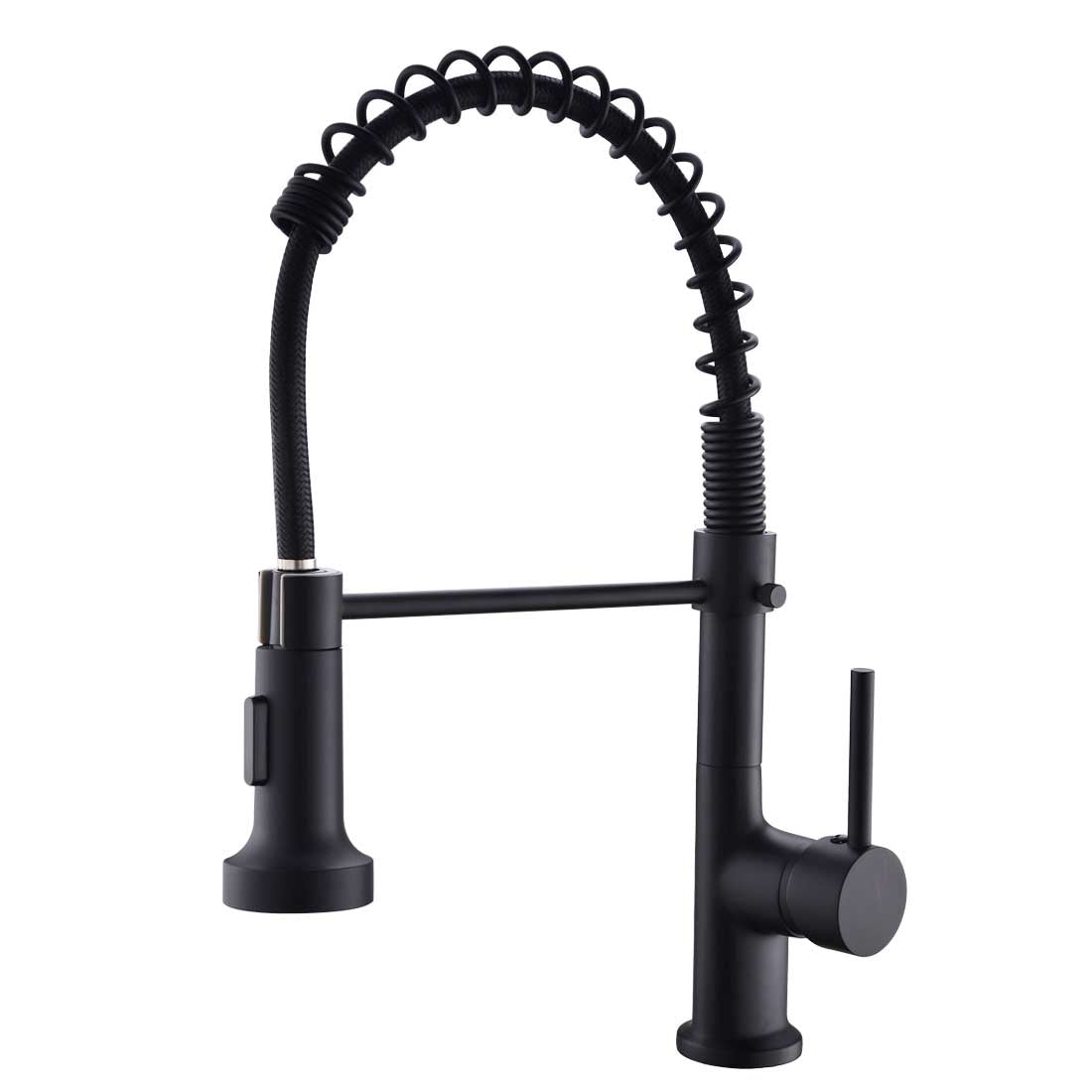 Sprayer Kitchen Faucet