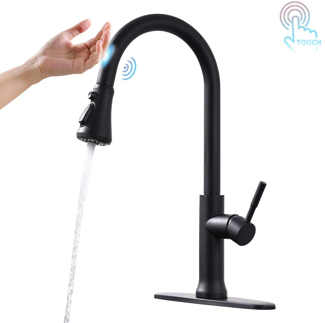 Sprayer Kitchen Faucet