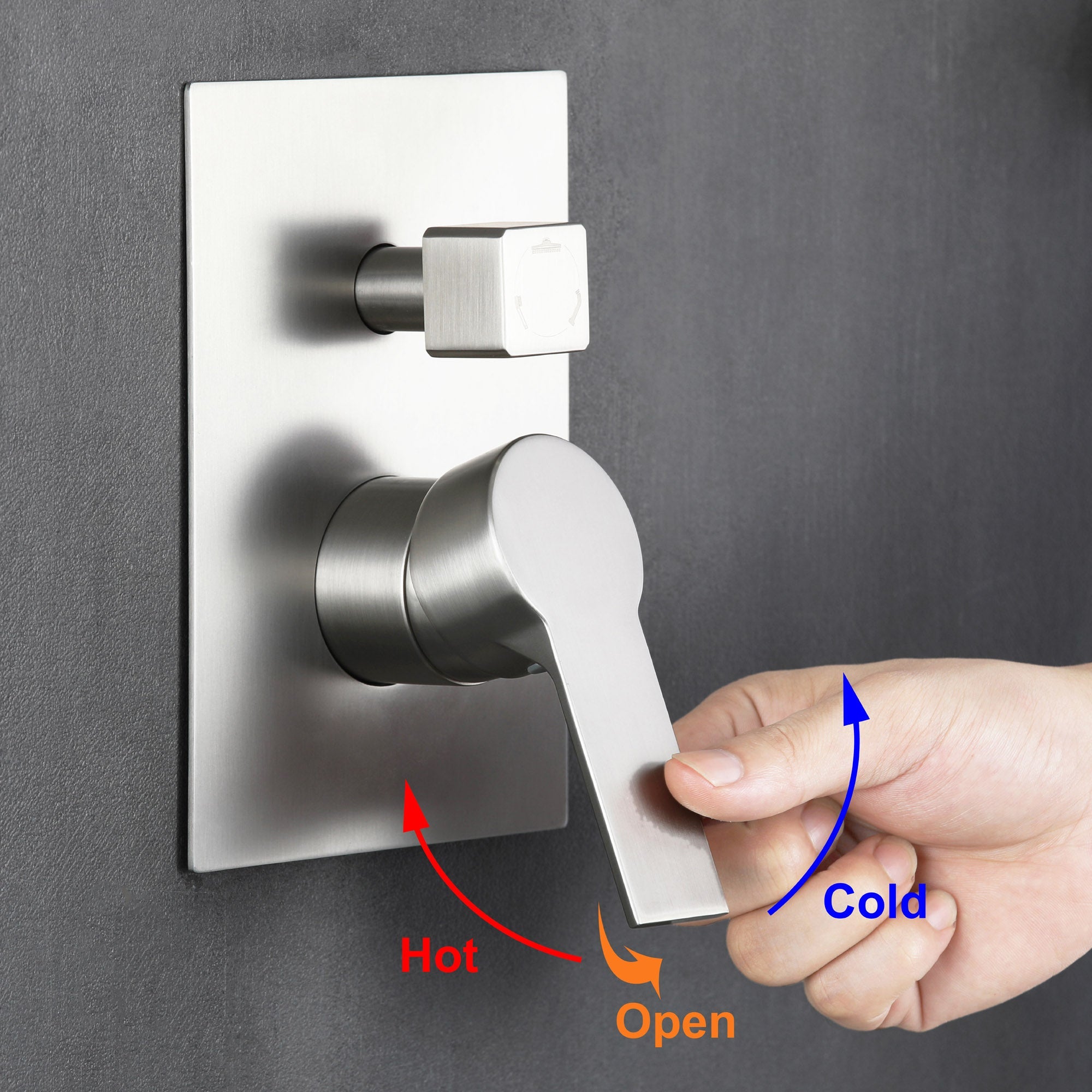 #Color_Brushed Nickel