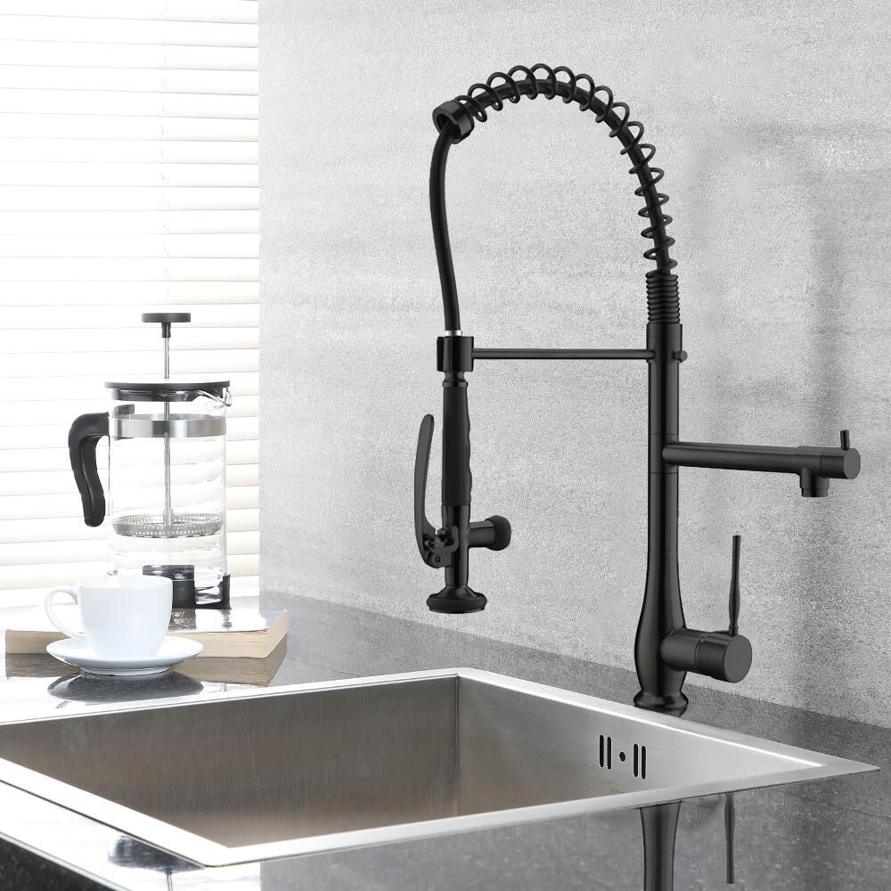 Sprayer Kitchen Faucet