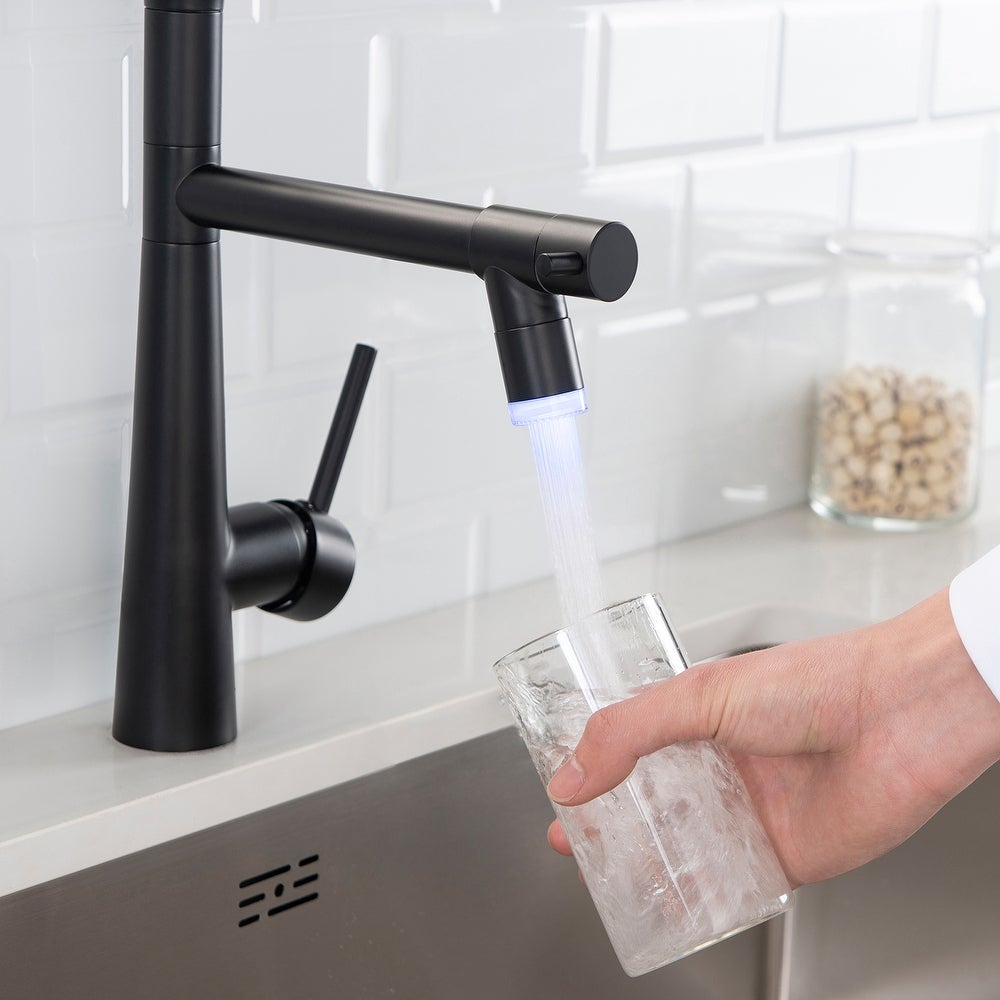 Black Single Handle Pull Down Sprayer Kitchen Faucet with LED Light