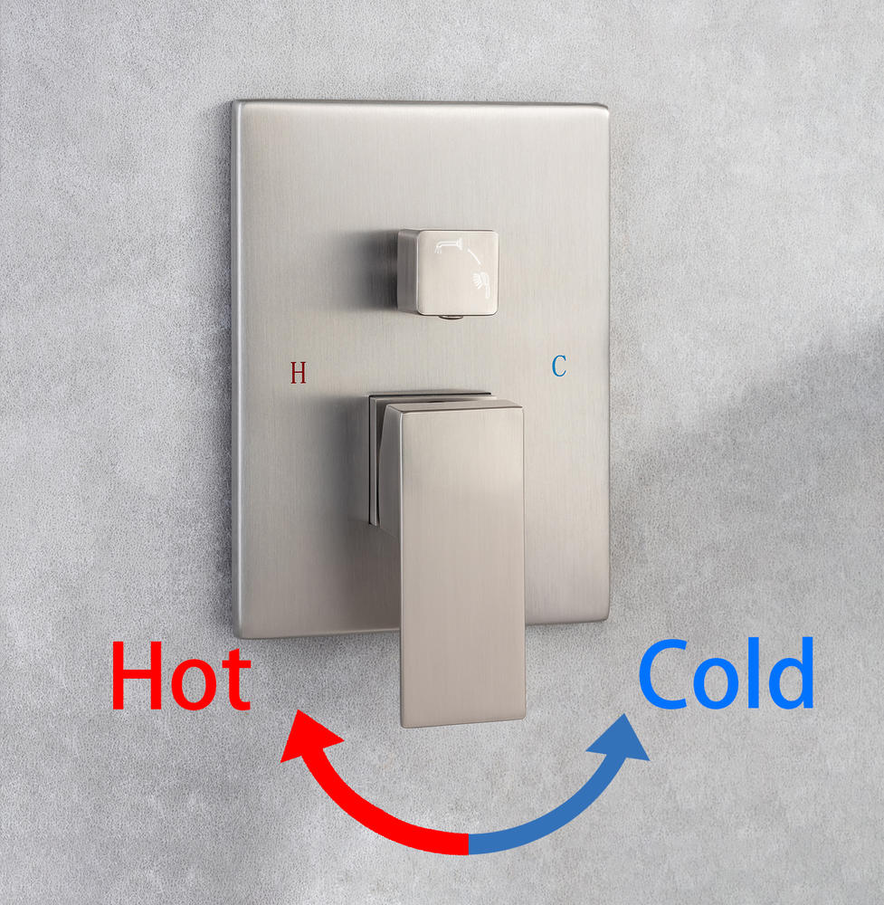 #Color_Brushed Nickel