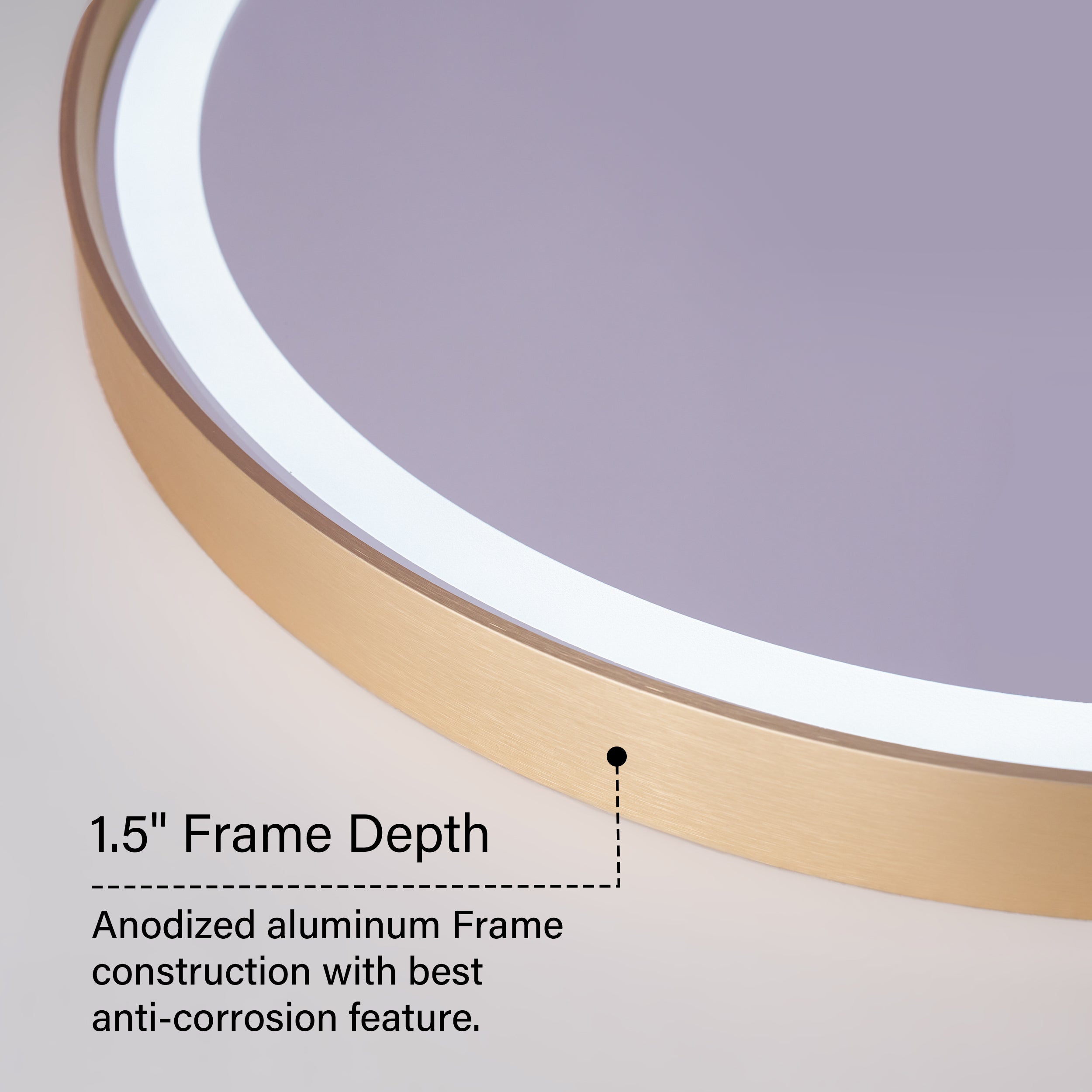 20 in. W x 36 in. H Oval LED Framed Mirror, Anti-Fog, Dimmable in Brushed Gold