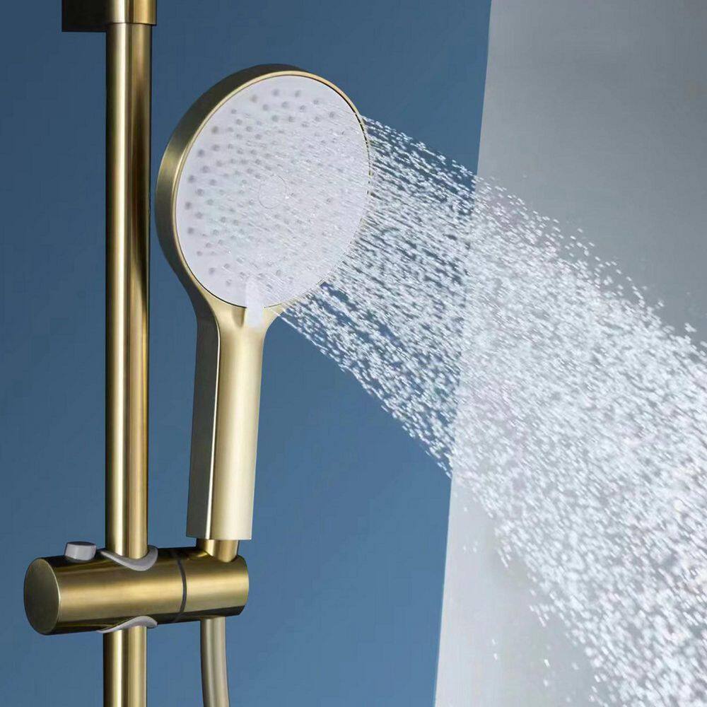 1-Spray Patterns with 2.9 GPM 10 in. Wall Mount Dual Shower Heads with Side Sprayer in Spot Resist