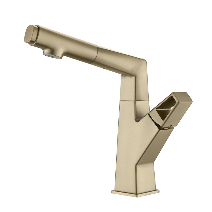 Bathroom Sink Faucet with Pull Out Sprayer Liftable Mixer Tap Brushed Gold