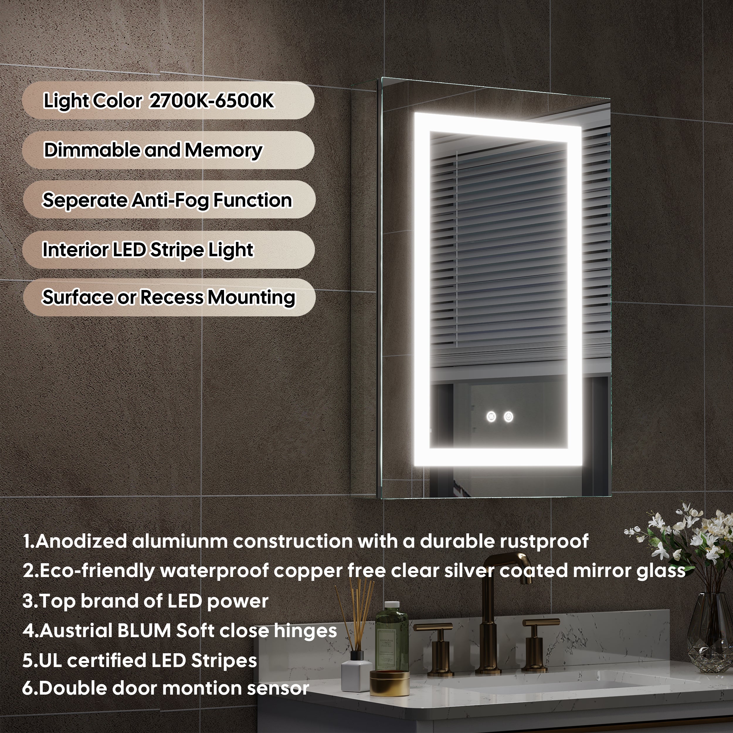 20 in. x 30 in. LED Lighted Surface/Recessed Mount Silver Mirrored Medicine Cabinet with Outlet left Side