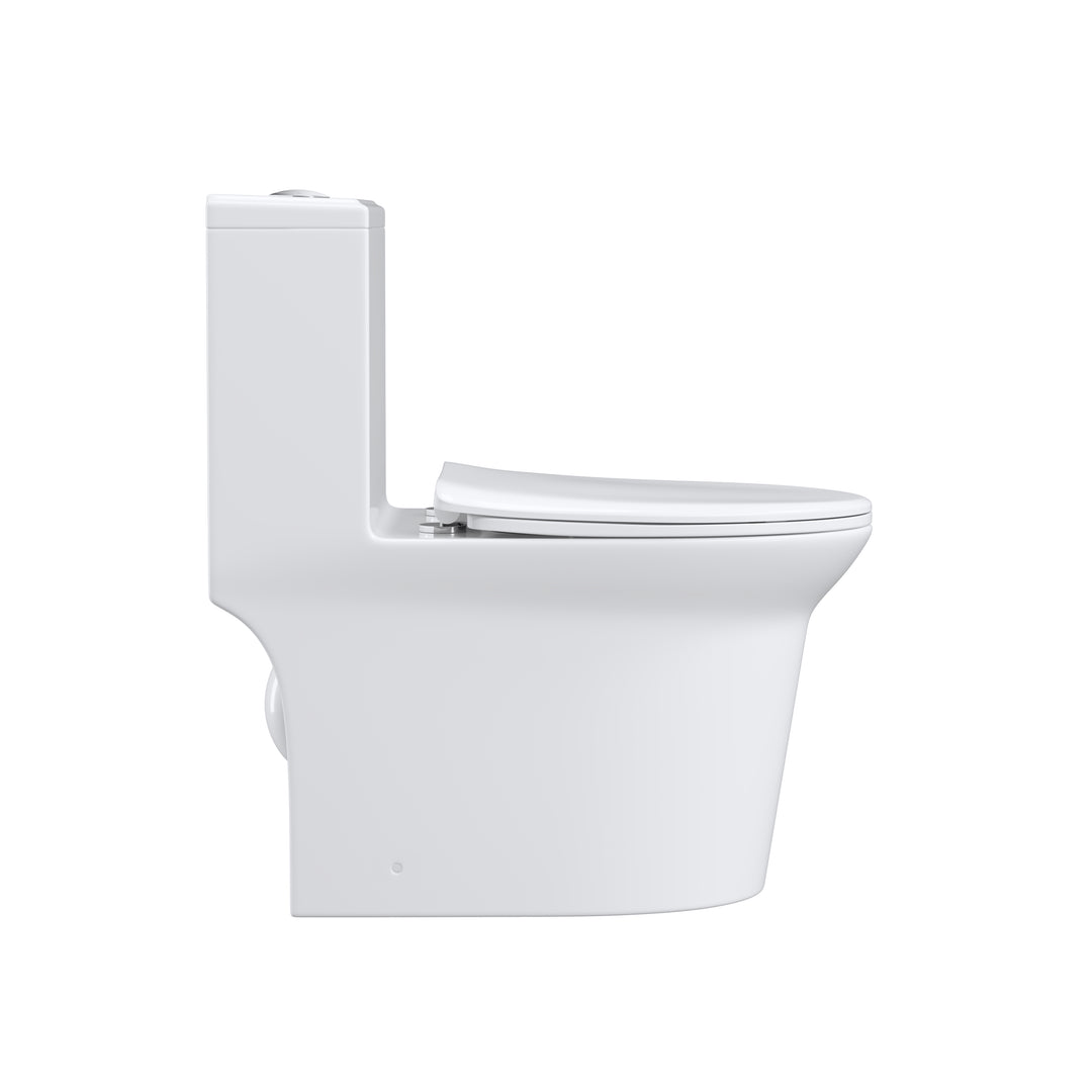 One Piece Dual Flush Elongated Toilet