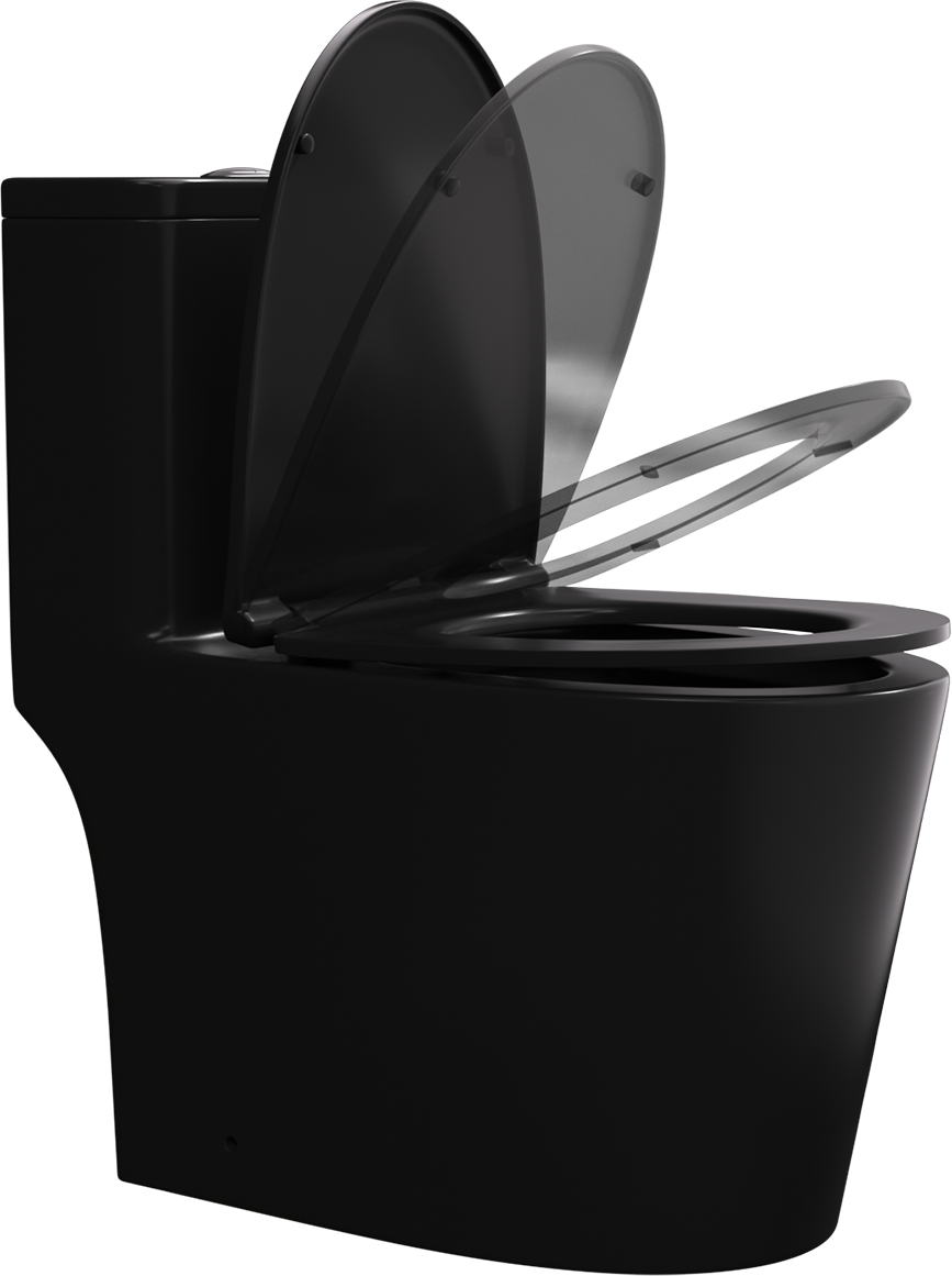 One Piece Dual Flush Elongated Toilet in Black