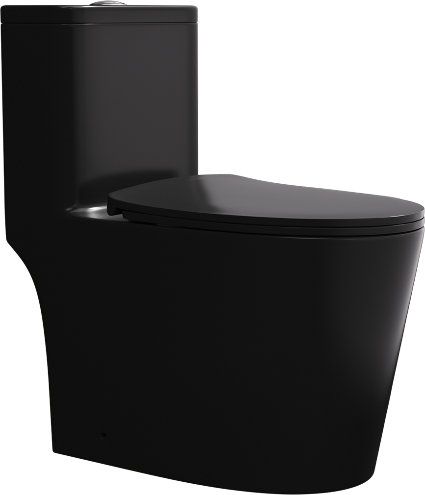 One Piece Dual Flush Elongated Toilet in Black