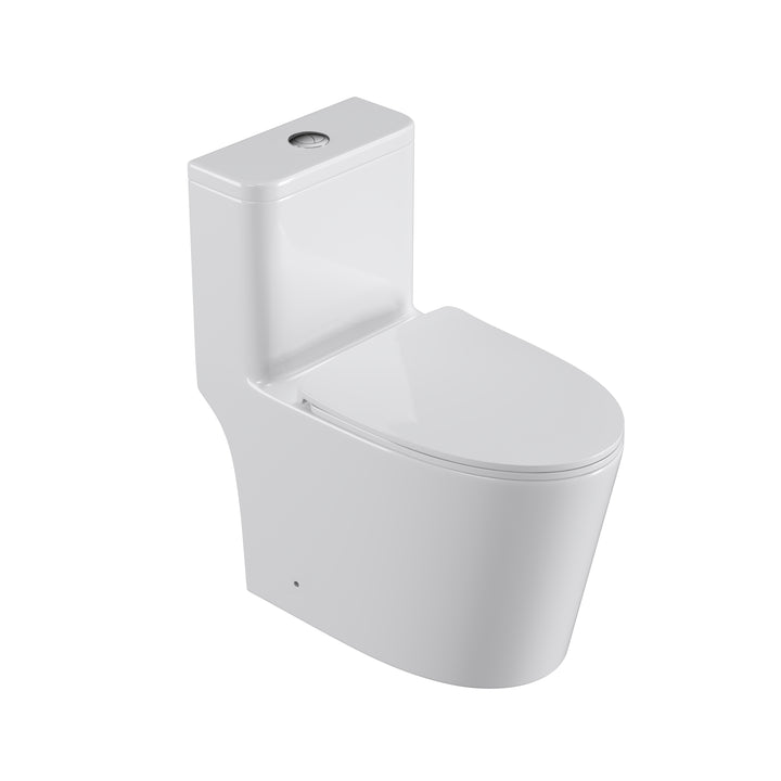 One Piece Dual Flush Elongated Toilet in White