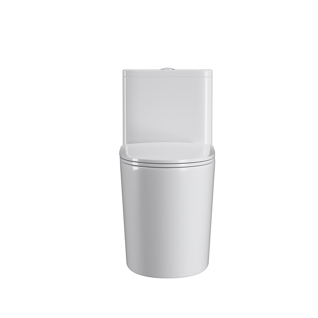 One Piece Dual Flush Elongated Toilet in White