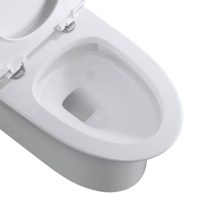 Dual Flush Elongated Standard One Piece Toilet in White