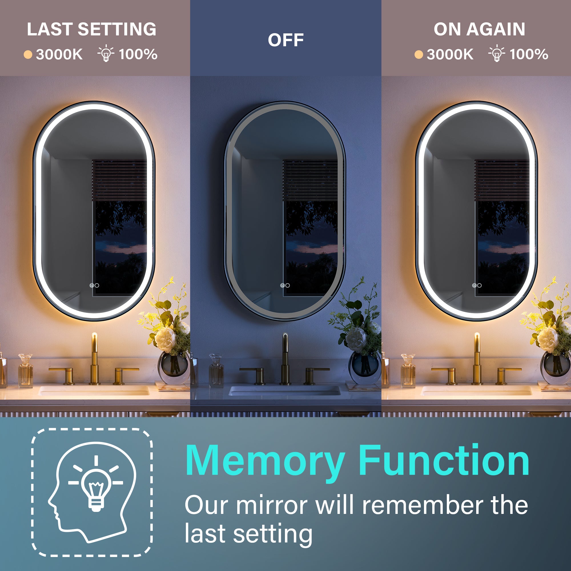20 in. W x 36 in. H Oval LED Framed Mirror, Anti-Fog, Dimmable in Matte Black