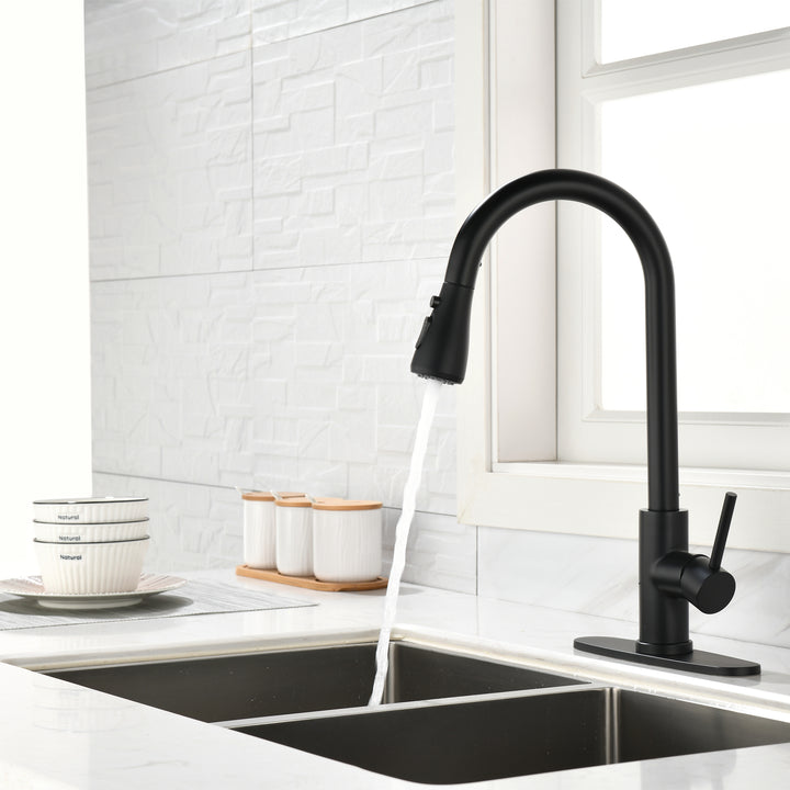 Kitchen Faucet Single Handle  with Pull Out Sprayer