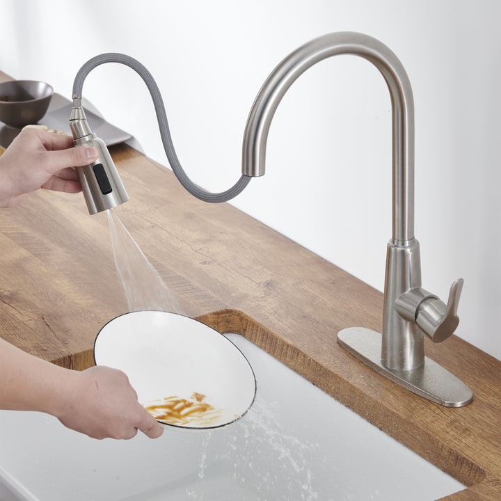 3 Way Setting Single Handle Kitchen Faucets with Deck Plate