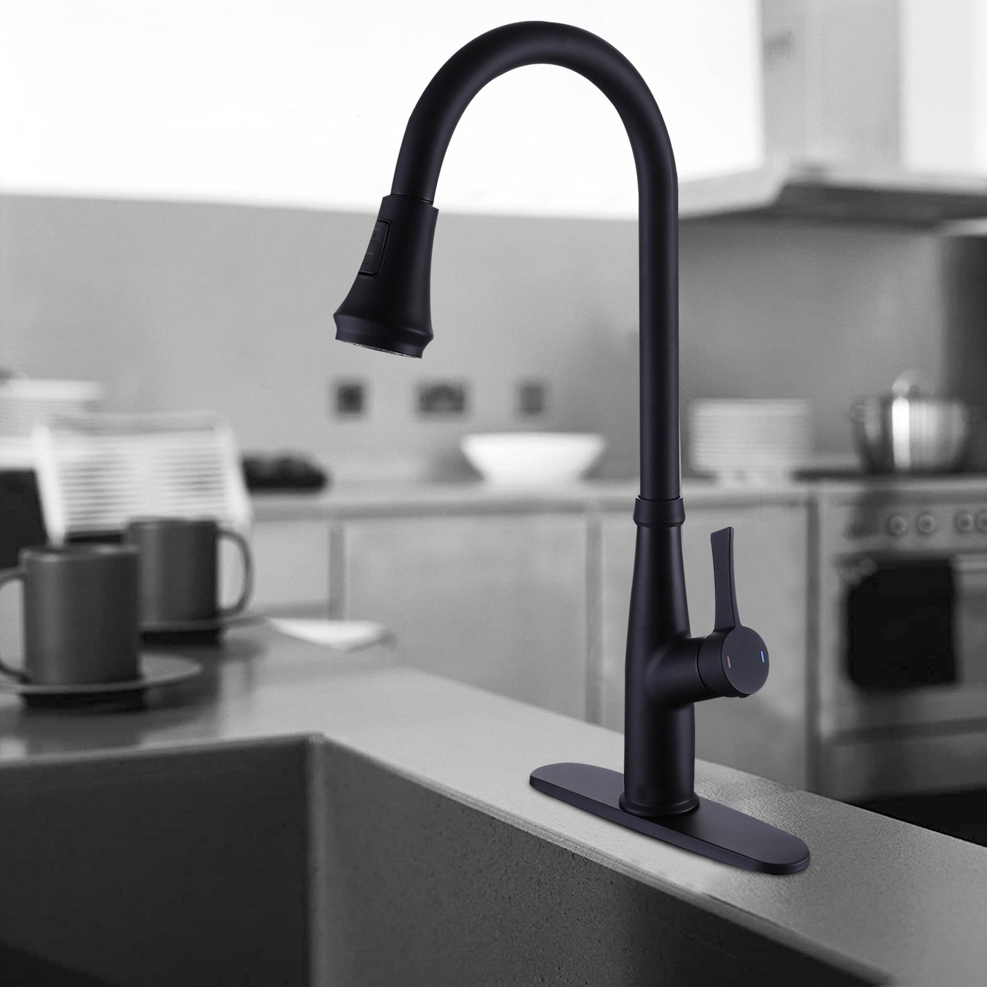 Kitchen Faucet