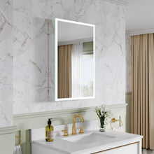 20 in. x 30 in. Rectangular Recessed/Surface Mount Left Medicine Cabinet with 3x Magnifier Mirror and LED Light