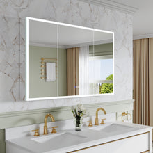 48 in. x 30 in. Rectangular Recessed/Surface Mount Medicine Cabinet with Mirror and LED Light