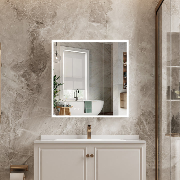 30 in. x 30 in. Rectangular Recessed/Surface Mount Medicine Cabinet with Mirror and LED Light