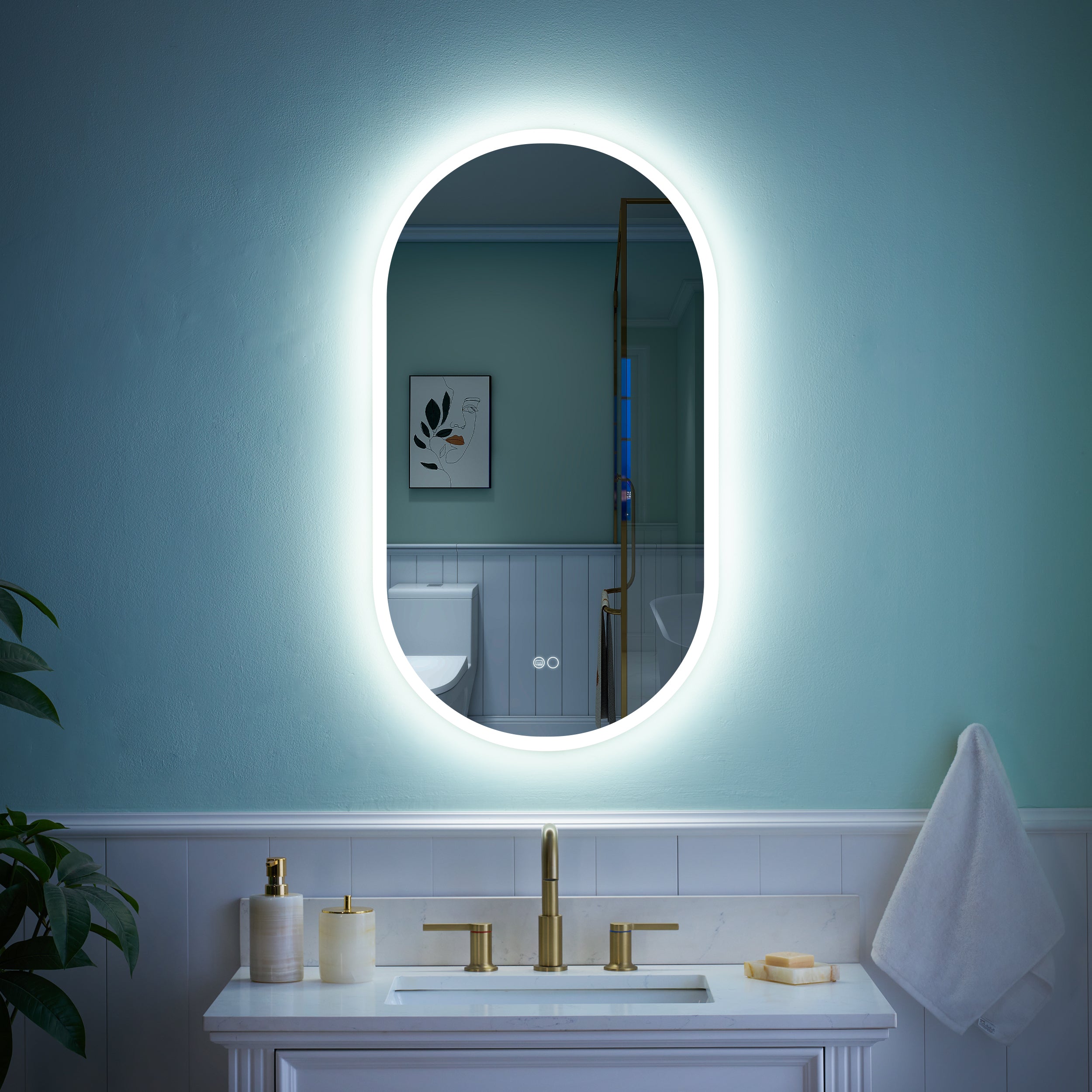 20 in. W x 36 in. H Acrylic Oval LED Frameless Mirror, Anti-Fog, Dimmable