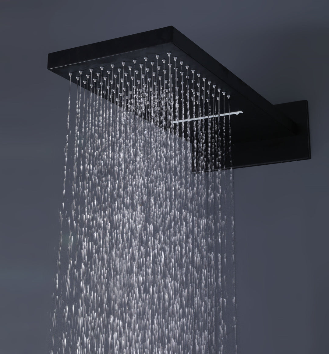 shower system with handheld