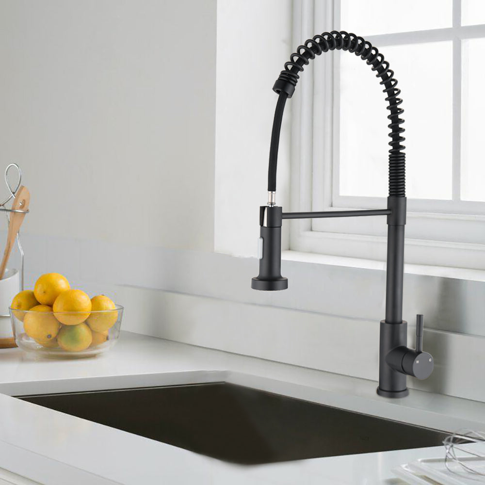 Single Handle Kitchen Faucet with Pull Out Sprayer