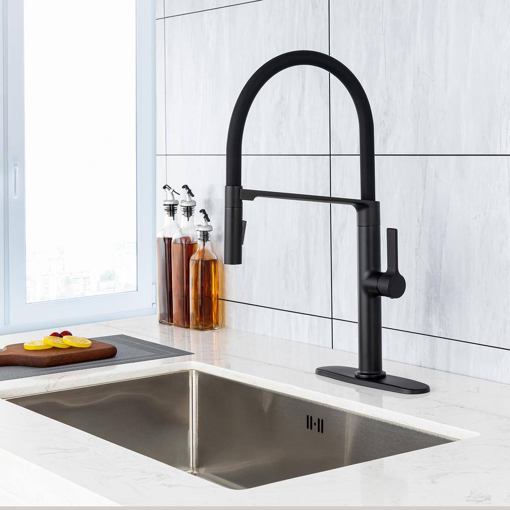 Magnetic Single Handle Pull Down Sprayer Kitchen Faucet with Deckplate and Water Supply Line Included